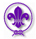 World Scouting Movement